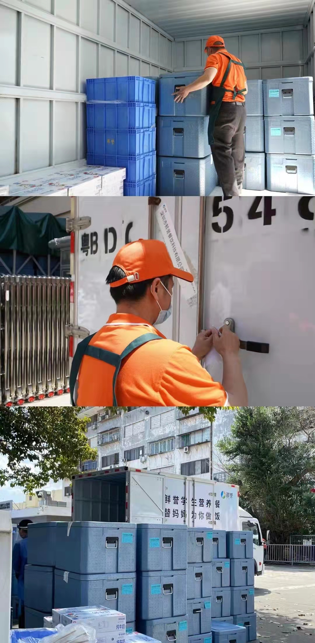 鮮譽(yù)